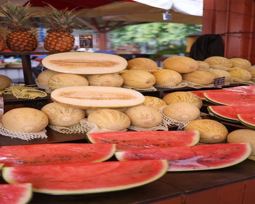 Fresh cuts of watermelon, melon, and pineapple perfect for hydration